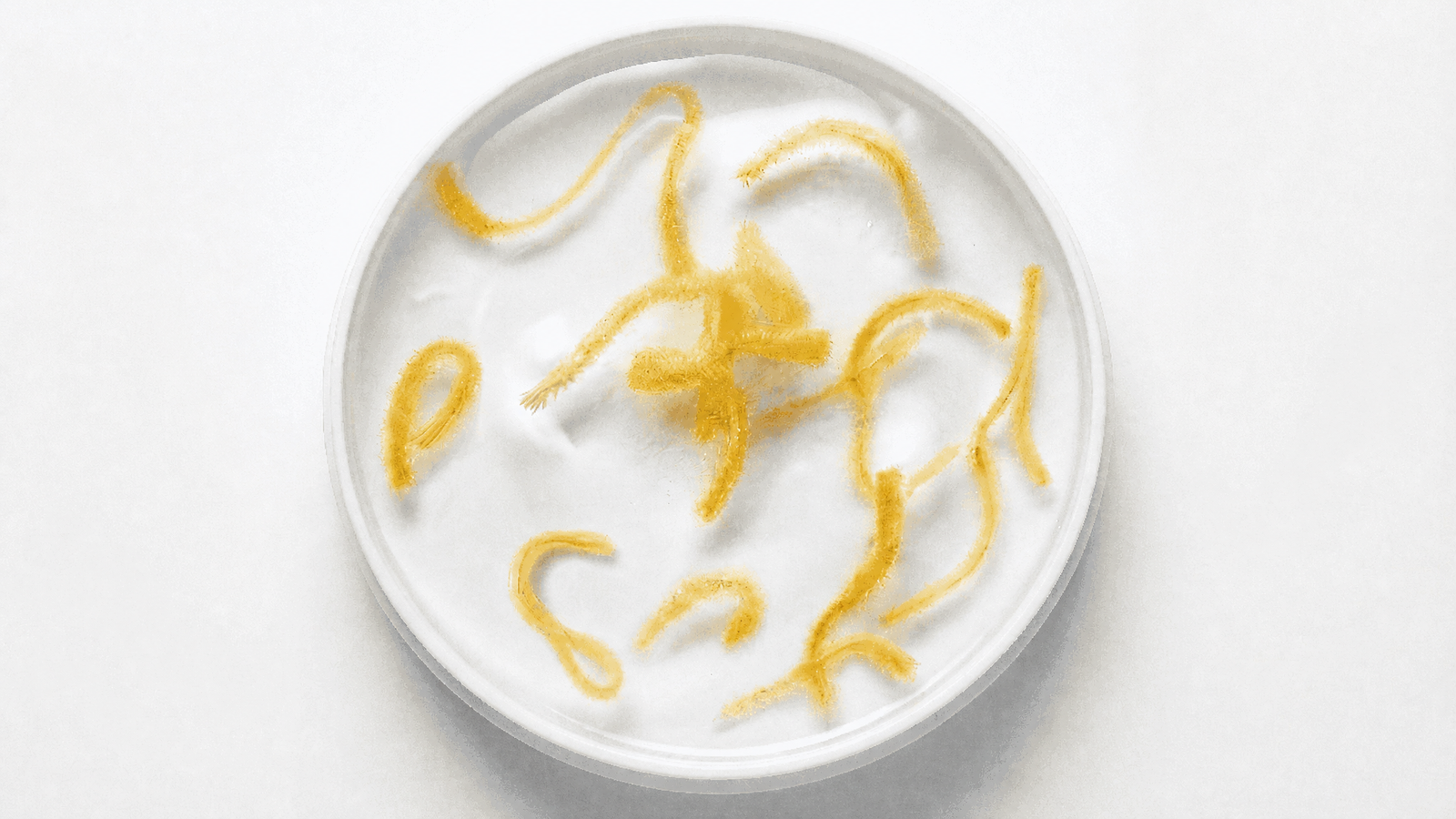 Why Your $89 Serum Isn't Working